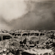 Illustration for article titled Ammonium Compounds and Industrial Disasters